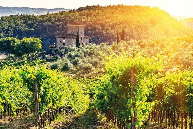 Uncover the Secrets of Chianti: Afternoon Wine Tour From Florence - Confirmation and Logistics for the Tour