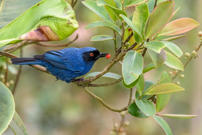 Uncover the Wonders of Chicaque Reserve - Overview of Chicaque Reserve