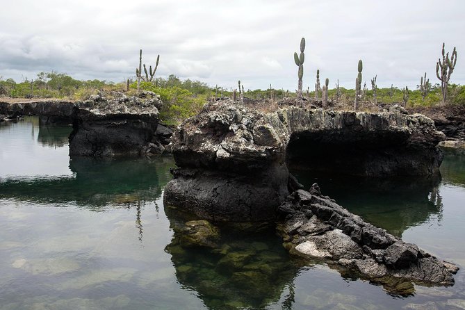 Uncover the Wonders of Galapagos Islands - Galapagos Islands: A Natural Wonder