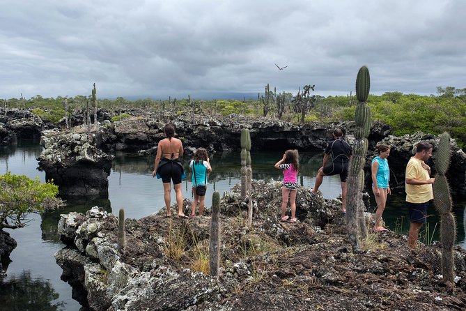 Uncover the Wonders of Galapagos Islands - Unique Wildlife of Galapagos