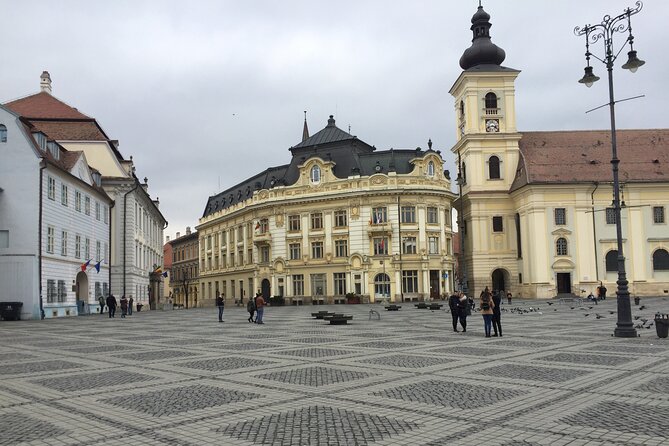 Uncover Transylvania: Private 2-Day Tour Bears & Medieval Wonders - Tour Highlights