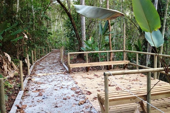 Uncover Wildlife Wonders at Carara National Park - Park Overview