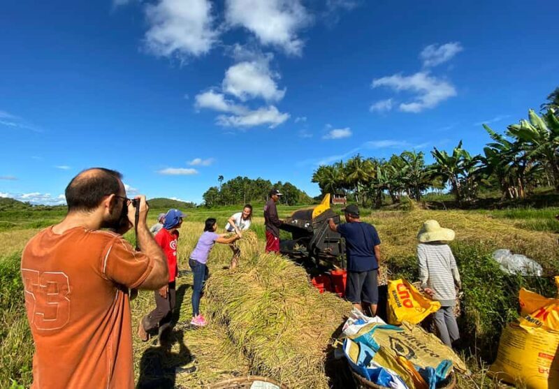 Uncrowded Bohol: Tarsiers, Chocolate Hills & Local Lunch - Good To Know