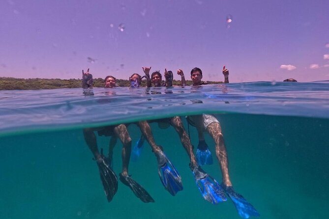 Under a Sea of Adventures, Unforgettable Diving. - Dive Into the Underwater World