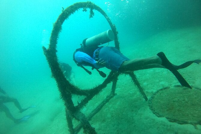 Under a Sea of Adventures, Unforgettable Diving. - Explore Diverse Marine Life