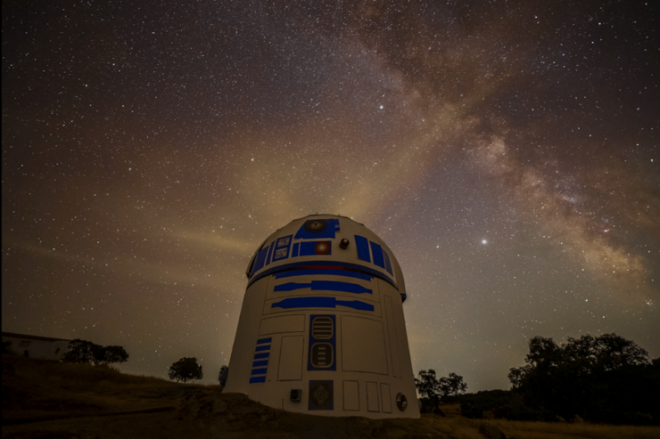 Under the Stars: Night Immersion With Sky Interpretation - Good To Know