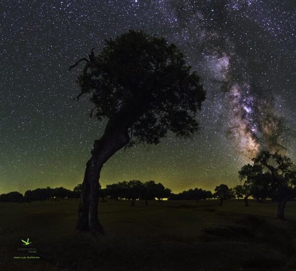 Under the Stars: Night Immersion With Sky Interpretation - Location and Directions