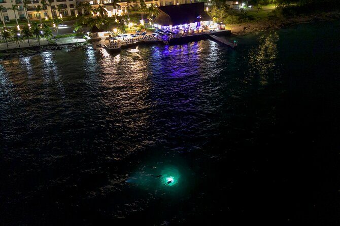 Under the Stars Twilight Snorkel and Seaside Dinner at Money Bar - Good To Know