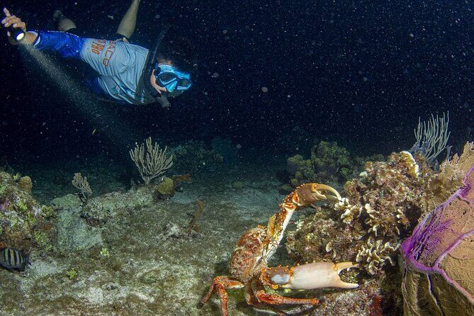 Under the Stars Twilight Snorkel and Seaside Dinner at Money Bar - FAQs