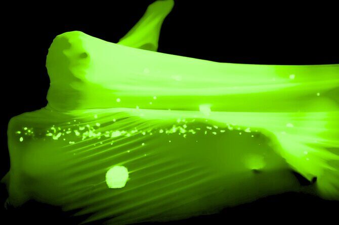 Underground Black Light Theatre Interactive Show in Prague - The Value of the Experience