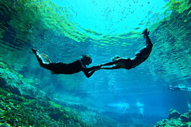 Underground Cenotes Snorkeling Tour with Mayan Snack - Who Should Book This Tour?