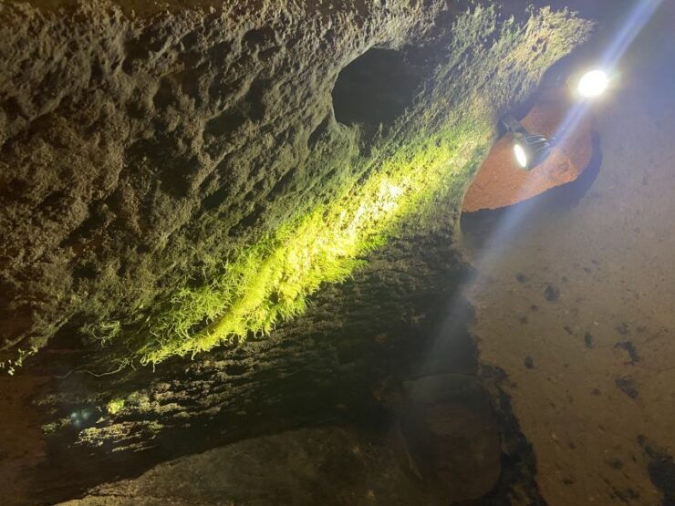 Underground City Tour & Optional Wine Tasting - Tour Overview