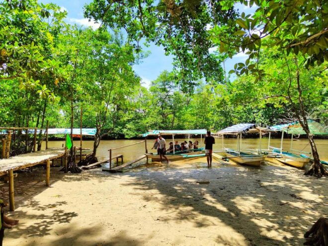 Underground River Tour in Puerto Princesa - Group Size and Participation
