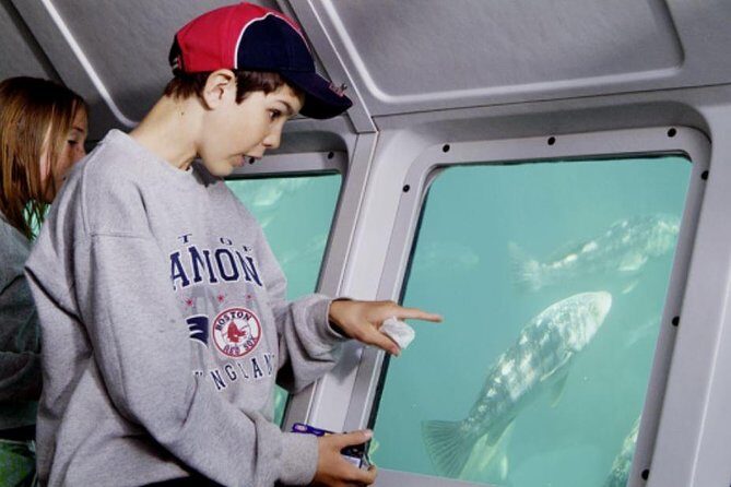 Undersea Expedition: Catalina Island Tour - A Deep Dive into the Undersea Expedition Experience  