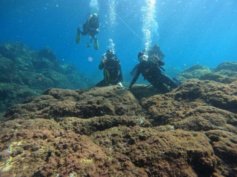 Underwater Archaeological Tour: Acicastello (CT) - Good To Know