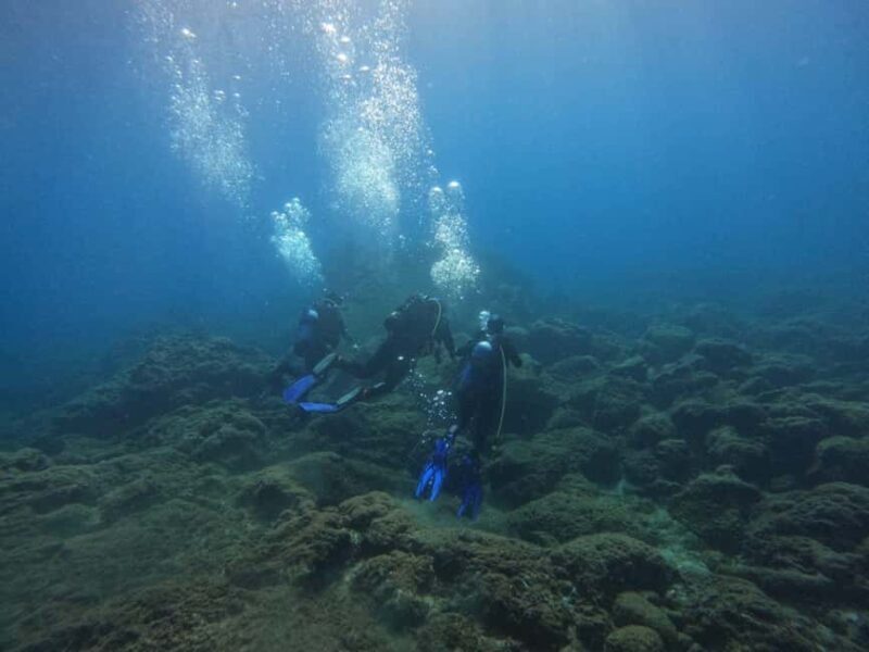 Underwater Archaeological Tour: Acicastello (CT) - What to Expect from the Tour