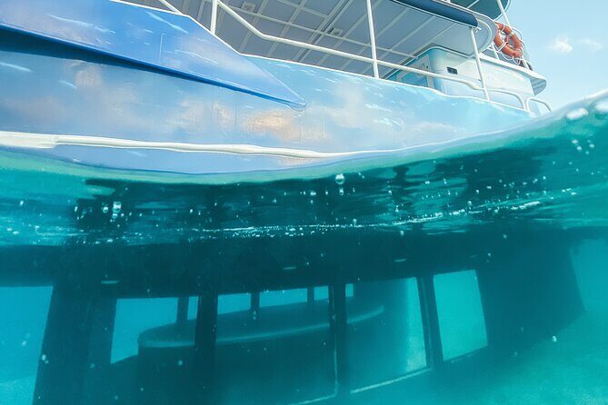 Underwater excursion to Bora Bora - A Closer Look at the Bora Bora Underwater Excursion