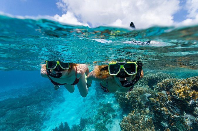Underwater Guided Snorkeling Adventure in Bonaire - Who Will Love This Tour?