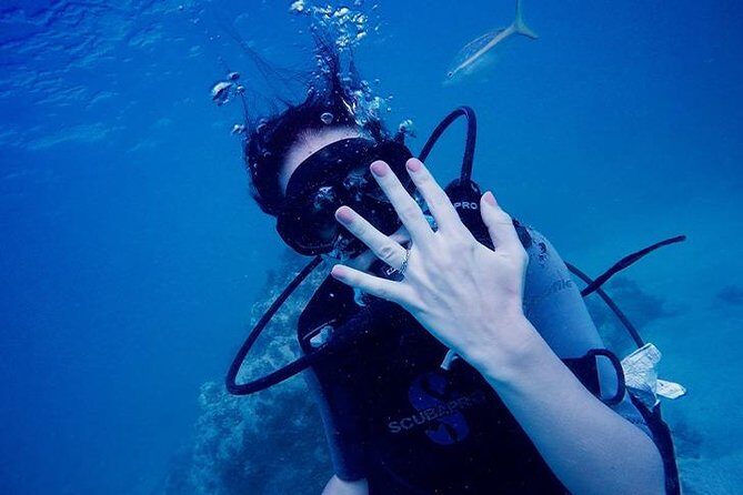 Underwater Marriage Proposal - An In-Depth Look at the Underwater Proposal Experience