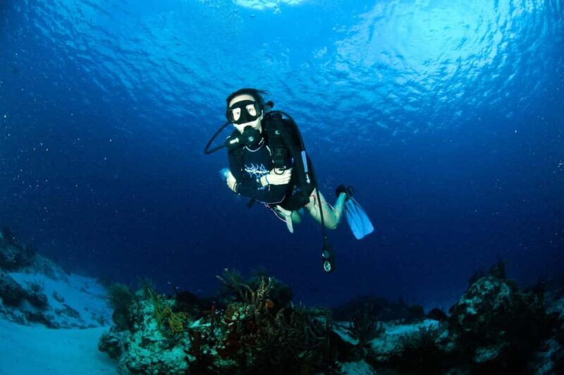 Underwater Museum Musa : SCUBA DIVING FOR BEGINNERS - Pre-Dive Training