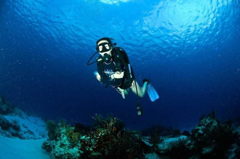 Underwater Museum Musa : SCUBA DIVING FOR BEGINNERS - Post-Dive and Return