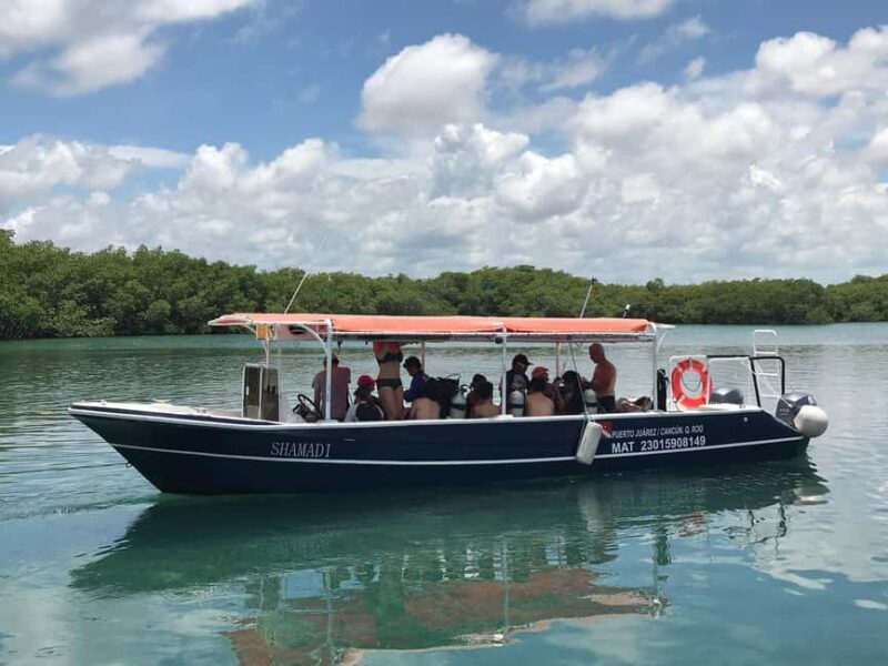 Underwater Museum Musa : SCUBA DIVING FOR BEGINNERS - Expert Instruction and Safety