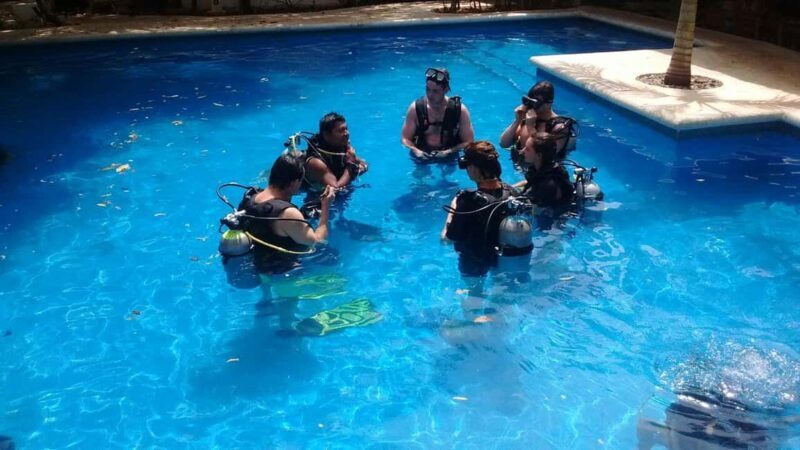 Underwater Museum Musa : SCUBA DIVING FOR BEGINNERS - Close to Marine Parks