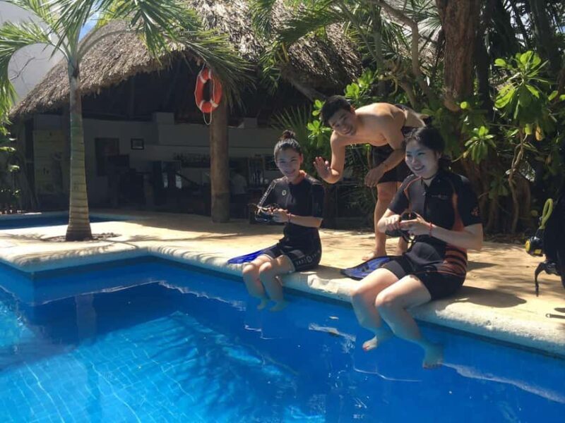 Underwater Museum Musa : SCUBA DIVING FOR BEGINNERS - Authentic Marine Encounters