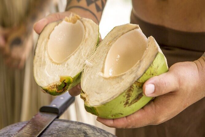 Underwater Observatory & Coconut Experience - Good To Know