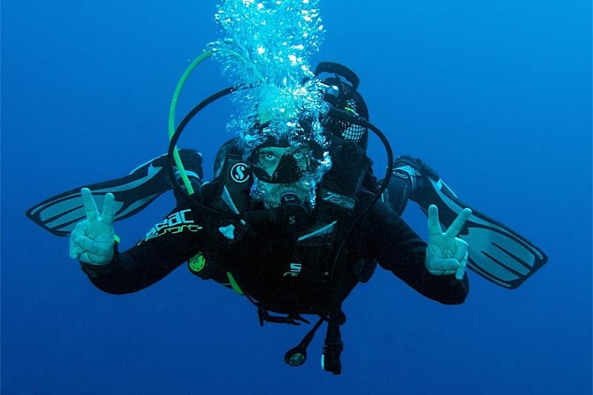 UNDERWATER PHOTOGRAPHY SPECIALITY - Improve Your Creativity and Find Your Style - Composition and Framing Tips for Underwater Photography