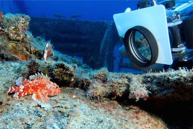 UNDERWATER PHOTOGRAPHY SPECIALITY - Improve Your Creativity and Find Your Style - Editing and Post-Processing for Underwater Photos