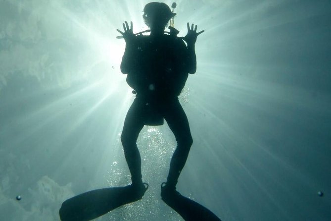 Underwater Scooter Dive (Certified Divers Only) Makena Wailea - The Sum Up