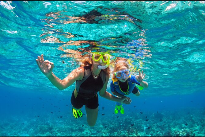 Underwater Sculpture Park Snorkel Adventure - Tour Overview