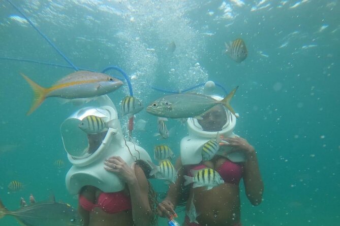 Underwater Sea Trek in San Juan - Cancellation Policy