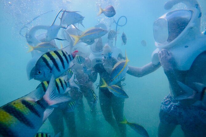 Underwater Sea Trek in San Juan: Explore Beneath the Waves - Accessibility and Practical Tips