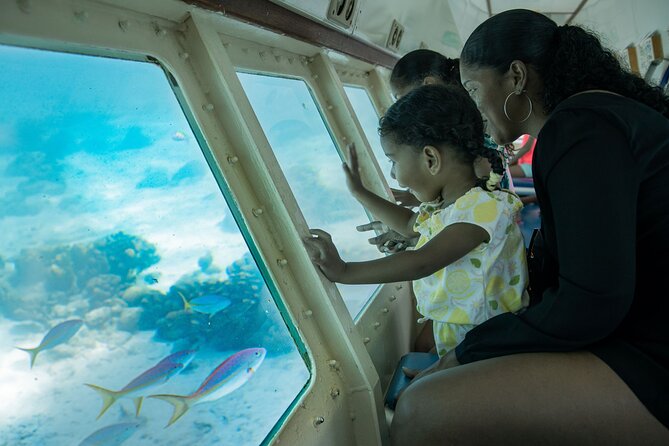 Underwater Seaworld Explorer Experience in Curaçao - Pricing and Reviews