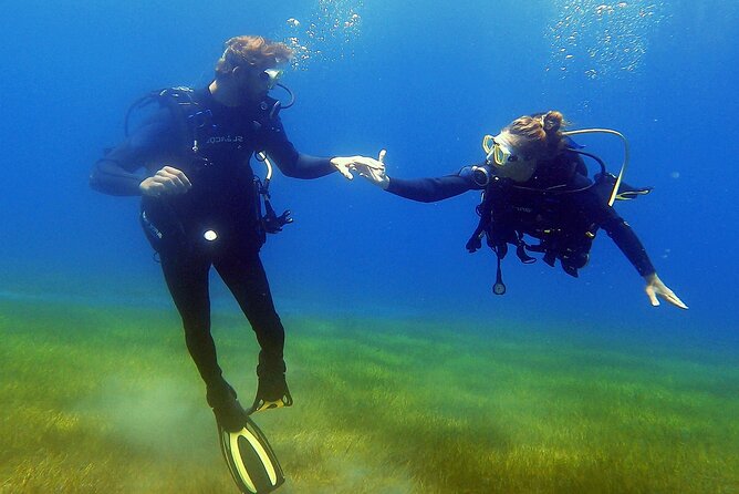 Underwater Sightseeing - Individual Dive Trip Under Tenerife - Pricing and Guarantee
