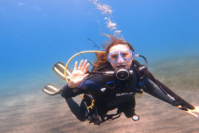Underwater Sightseeing - Individual Dive Trip Under Tenerife - Additional Information