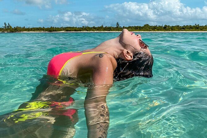 Underwater Snorkel Experience day in Cozumel with Transportation from Cancún - The Tour Experience: A Day in the Caribbean Waters