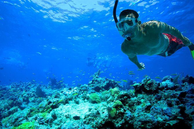 Underwater Snorkel Experience day in Cozumel with Transportation from Cancún - FAQs