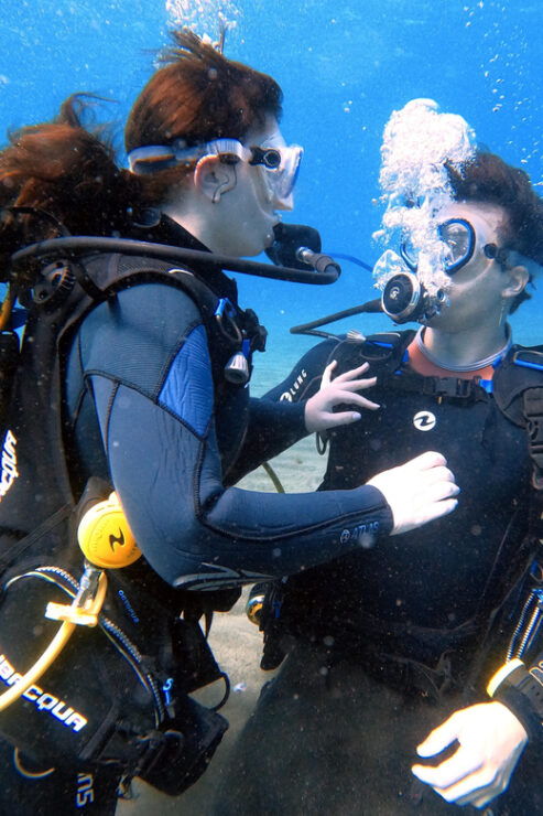 Underwater Tenerife - Individual Scuba Diving Experience - Booking and Cancellation