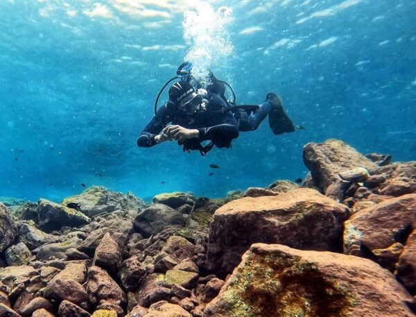 Underwater Tenerife - Individual Scuba Diving Experience - Insurance and Photography
