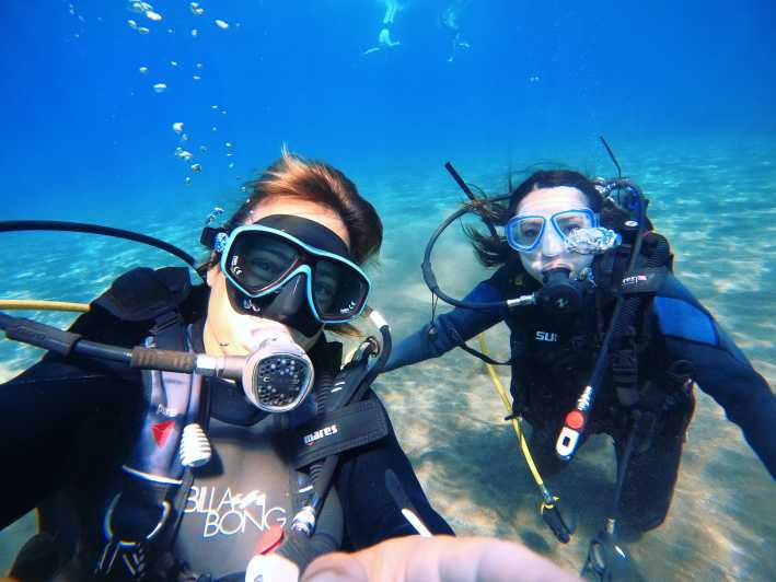 Underwater Tenerife - Personalized Scuba Diving Experience - Gradual Beach-Entry Dives