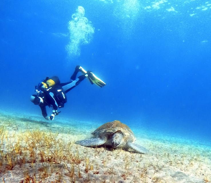 Underwater Tenerife - Personalized Scuba Diving Experience - Eco-Friendly Experience