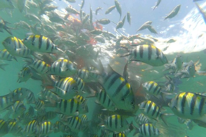 Underwater Wonders of South Gili - Location and Tour Details