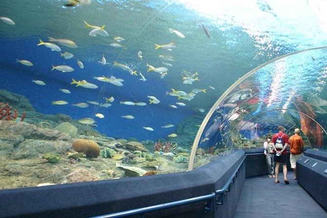 Underwater World Admission Ticket at Pattaya - Ticket Pricing