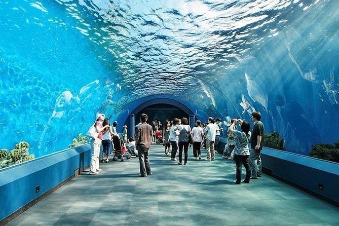 Underwater World Admission Ticket at Pattaya - Exhibit Highlights