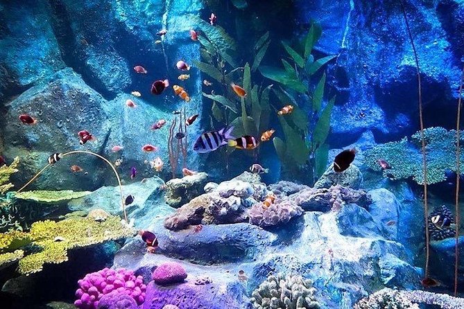 Underwater World Admission Ticket at Pattaya - Common Questions