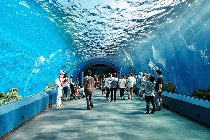 Underwater World at Pattaya Admission Ticket - Ticket Pricing Options
