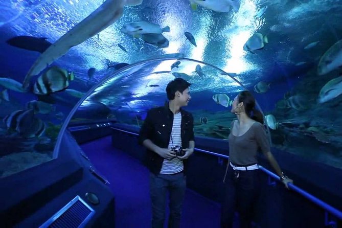 Underwater World at Pattaya Admission Ticket - The Sum Up